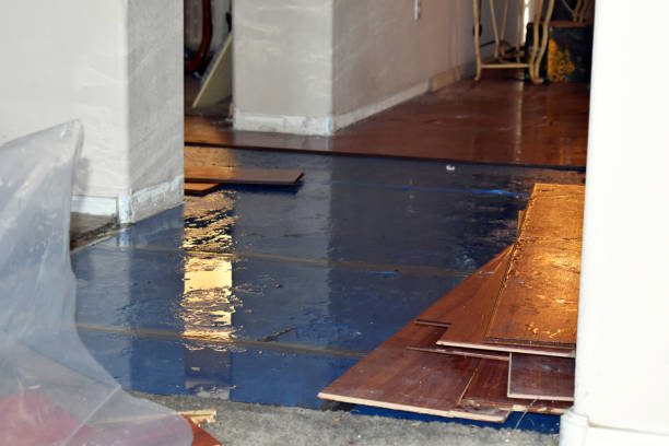 Professional Water Damage Restoration technician working in Luray, TN